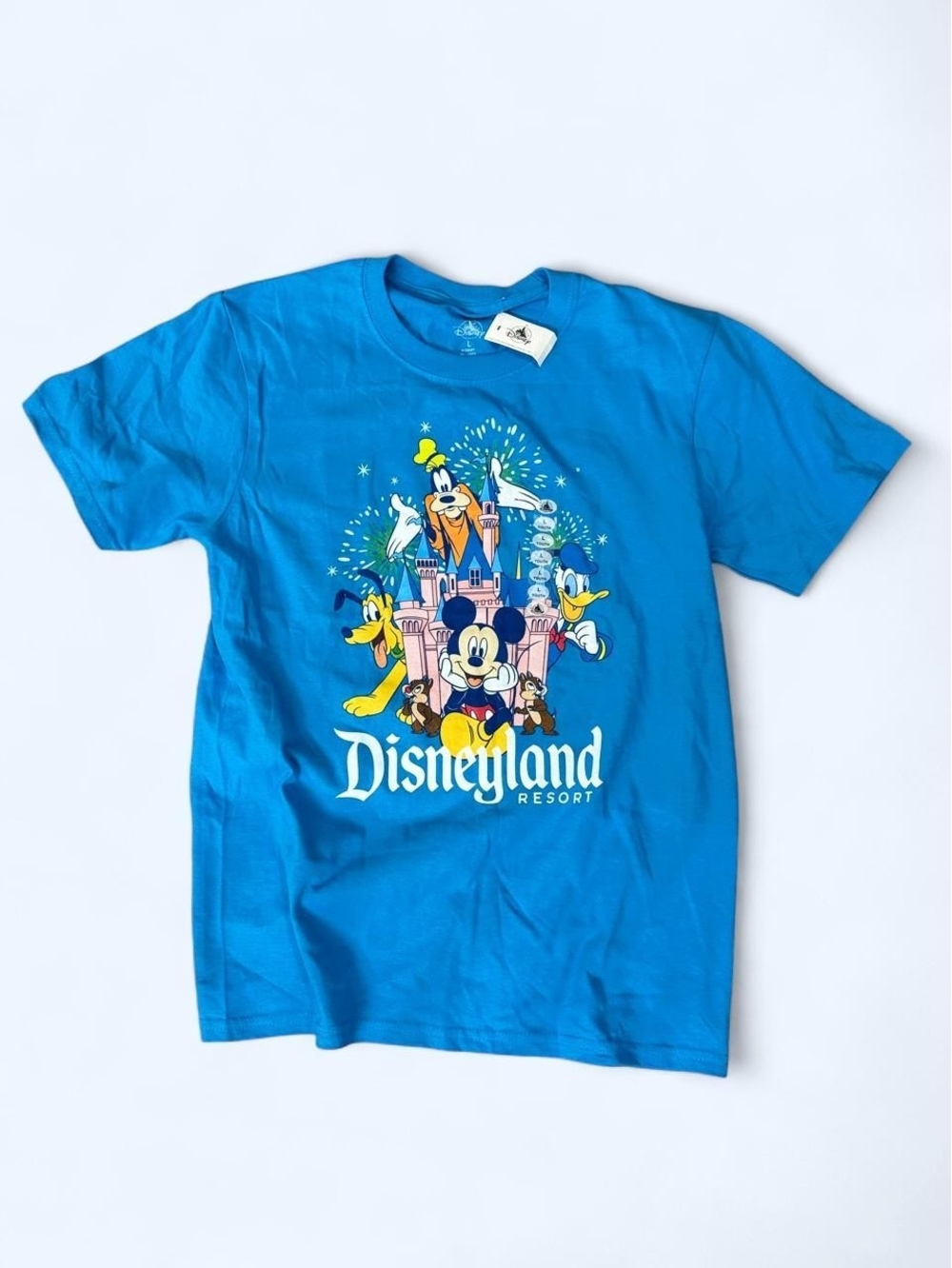 Authentic Disney Land Resort Blue Graphic Tee Mickey & Friends Unisex youth L